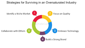 How to Profit in Oversaturated Niches