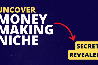 Niche Money-making Methods Online