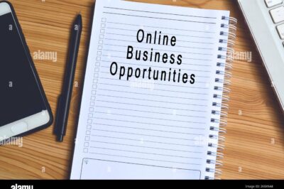 Profitable Online Business Opportunities: Unique & Untapped Niches